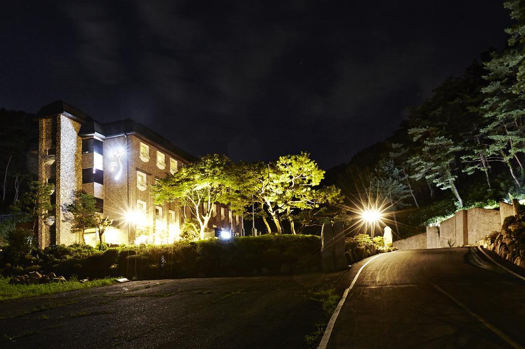 Hotel Namoo Cheong-Ju Čchongdžu Pokoj fotografie